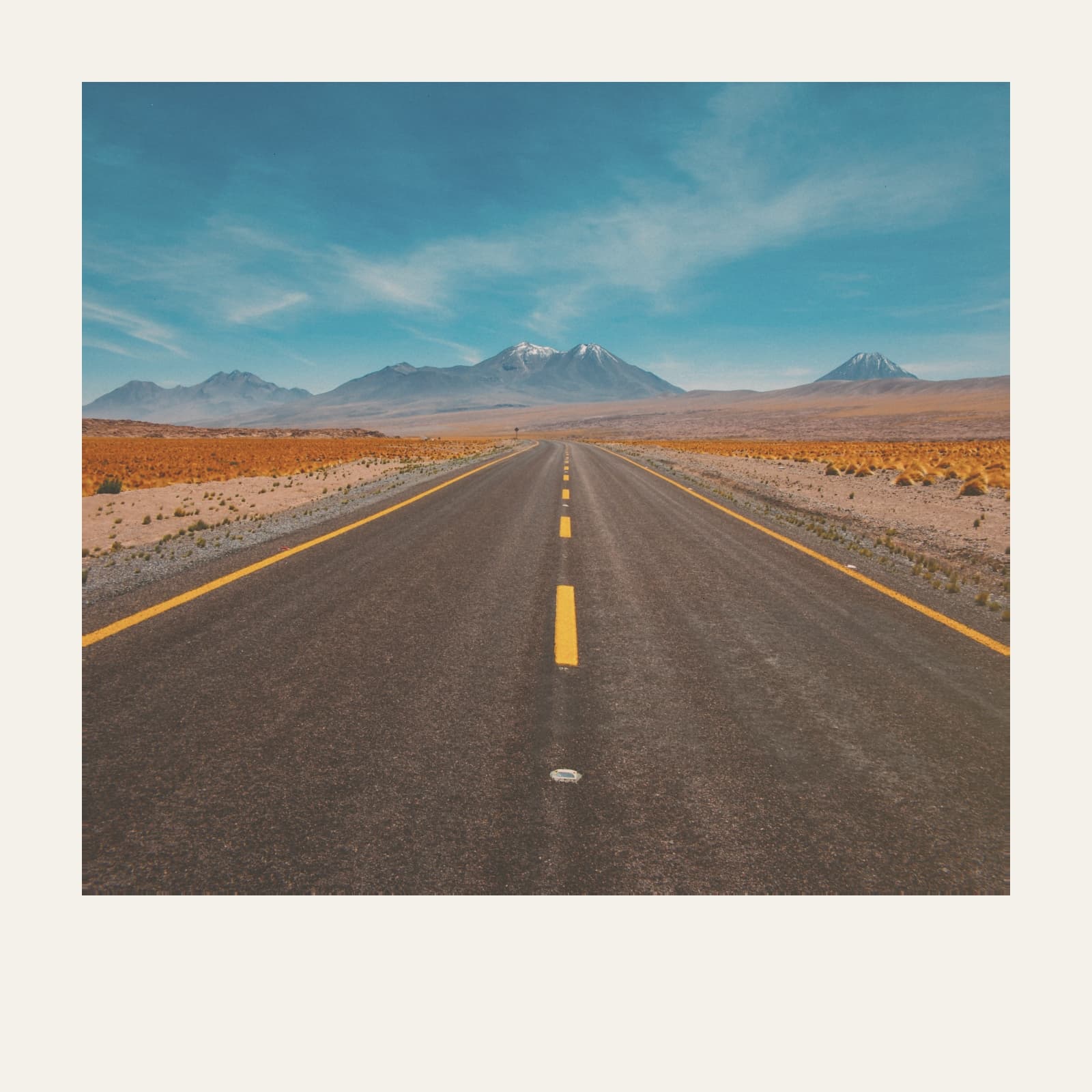 Photo developed with the Square Pop camera